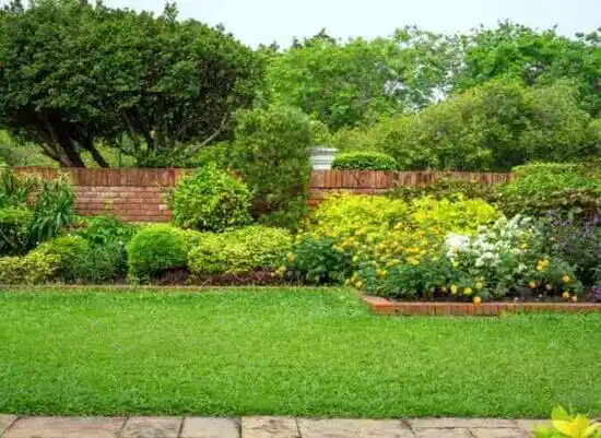 landscaping services Bogue